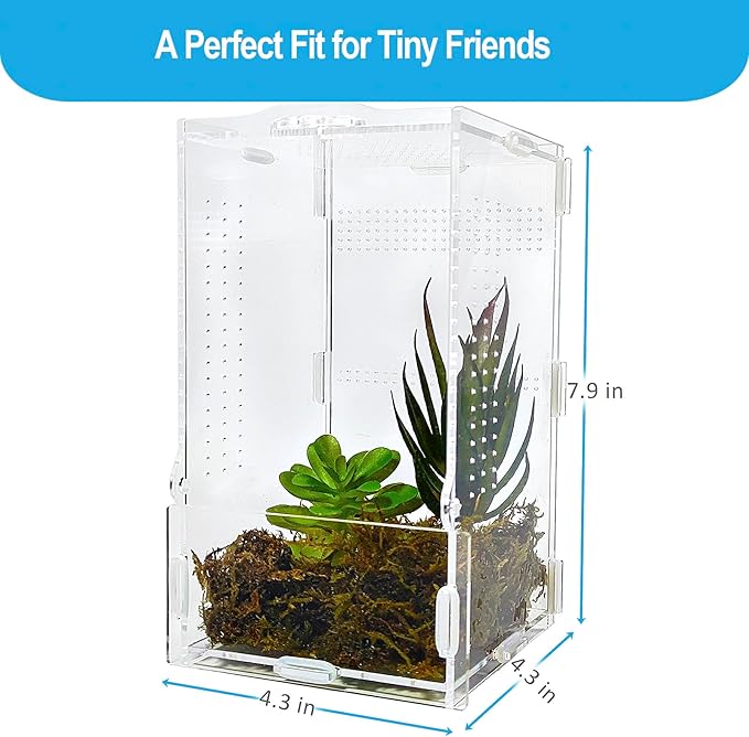 Jumping Spider Enclosure, Arboreal Tarantula Enclosure, Praying Mantis Terrarium Critter Cage for Jumping Spider, Tarantula Slings, Snail, Isopods, Beetles, Millipedes, Springtails