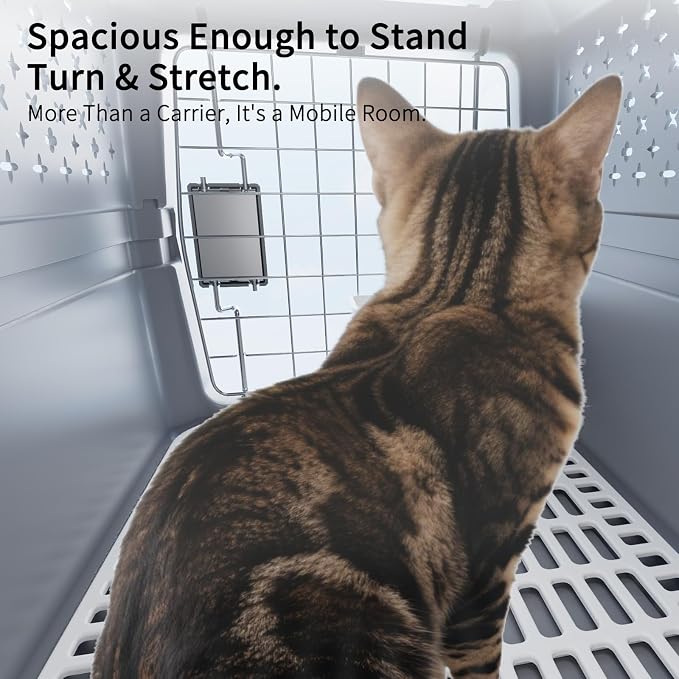 RIZZARI Airline Approved Pet Carrier for Cats & Small Dogs, Travel Crate | Hard-Sided Protection,Secure Locking Door,Excellent Airflow,Comfortable Travel,Lightweight Design