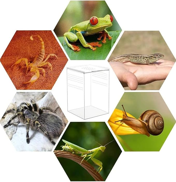 AWXZOM Magnetic Acrylic Case, micro habitat small Tarantula Enclosure enclosure for arboreal Tarantula Scorpion Sling Lizards Mantis Snake Gecko jumping spider snail Insect Isopods (4.7*4.7*7.8 inch)