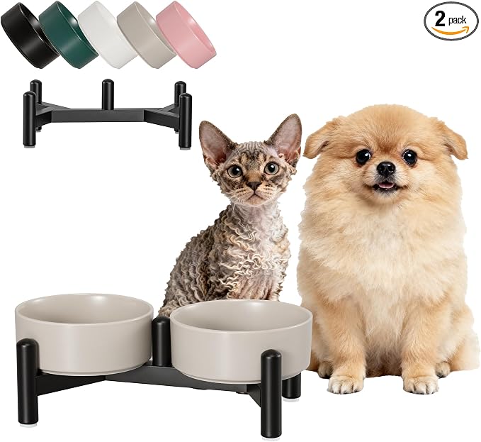 Raised Ceramic Dog Bowl Set with Stand, 1.6 Cups Elevated Dog Food Stand | 5.1'' Double Dog Food and Water Bowl Set, Non-Slip Dog Feeding Dishes for Small Breeds and Cats, 10.8 OZ, Grey