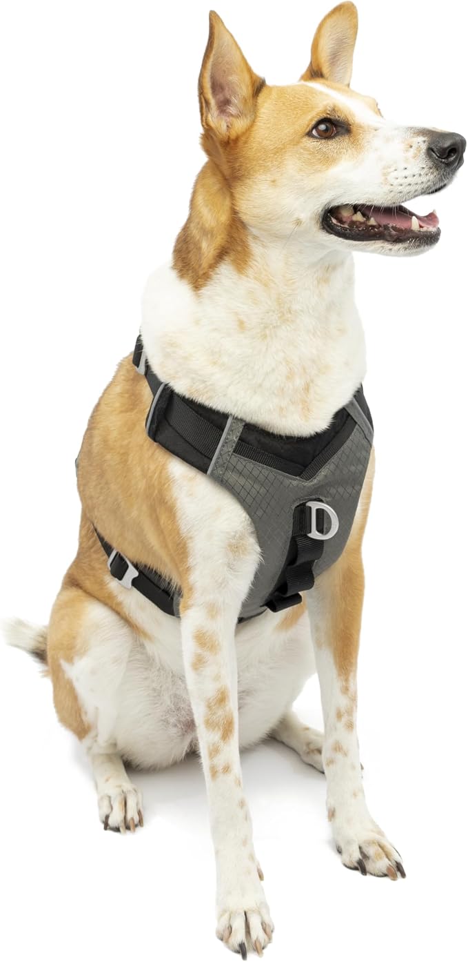 Kurgo Journey Air Dog Harness, Black, Large | Padded Chest, Ripstop Outer & Breathable Mesh, Back Assist Handle, Rust-Free Aluminum Hardware, Reflective Trim