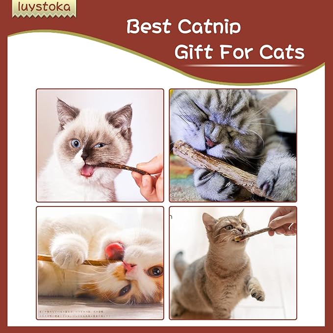 Silvervine Sticks for Cats 10PCS, Silvervine & Matatabi Catnip Toys, Indoor Kitty Chew Sticks & Wand Toys for Bored Cats