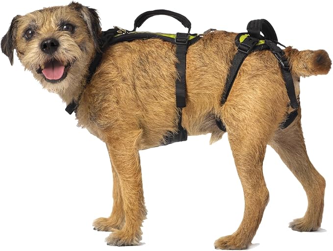 Help 'Em Up® Dog Lift Harness, Full Body Support, Small U-Band (25-45 lbs)