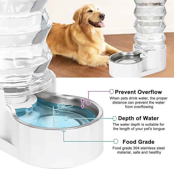 Distributeur d'eau pour chien RIZZARI Gravity : Grande fontaine d'eau automatique en acier inoxydable de 8 L – Conception anti-déversement sans BPA pour grands chiens et foyers multi-chiens – Pour usage quotidien intérieur et extérieur