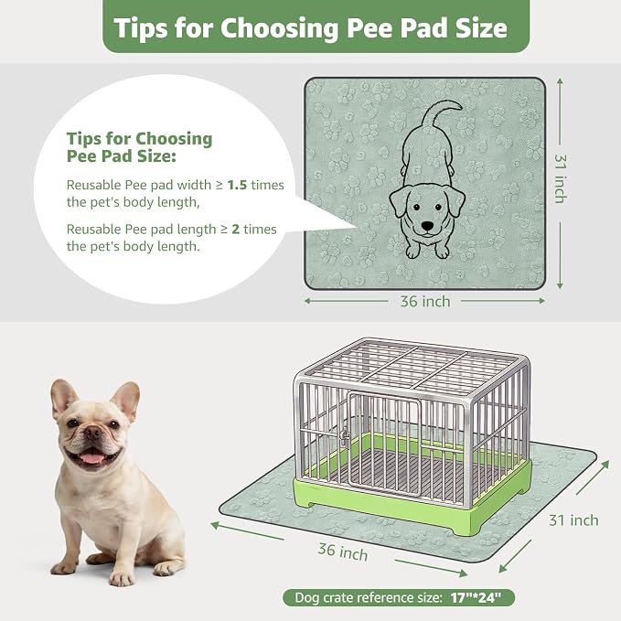 LOOBANI Washable Pee Pads for Dogs,2 Pack Reusable Puppy Pads 31"x36" | Super Absorbent, Waterproof, Leakproof, Non Slip, Soft, For Whelping, Potty Training, Crates, Floors, Beds, Couches, Travel