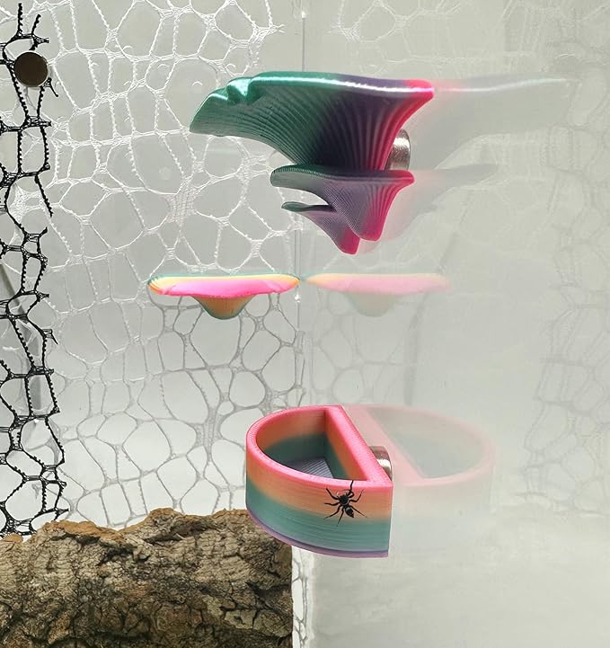2 Pack Jumping Spider Accessories Mushroom Ledges & 1 Pack Water Bowl with Magnets for Spoods Jumping Spiders Magnetic Ledge Ladder Pet Spider Accessories (Not Included The Terrarium) (colorful)