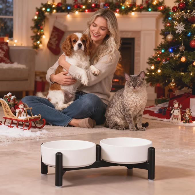 Raised Ceramic Dog Bowl Set with Stand, 2.1 Cups Elevated Dog Food Stand | 6'' Double Dog Food and Water Bowl Set, Non-Slip Dog Feeding Dishes for Small Breeds and Cats, 14 OZ, White