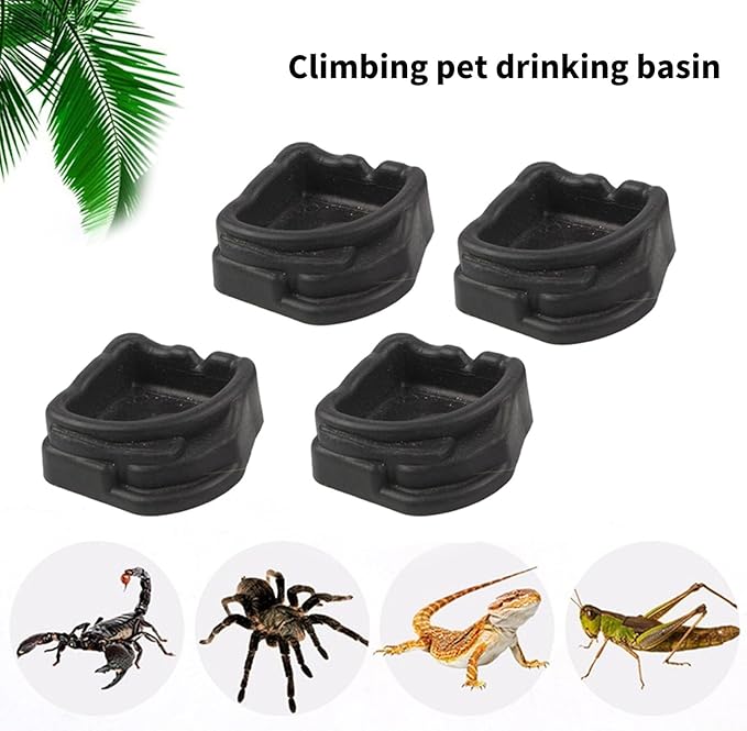 Miniature Water Dish for Scorpions Tanks and Arachnids Cages Nonslip Base Easy to Hygienic Transparents Reptiles Water Container