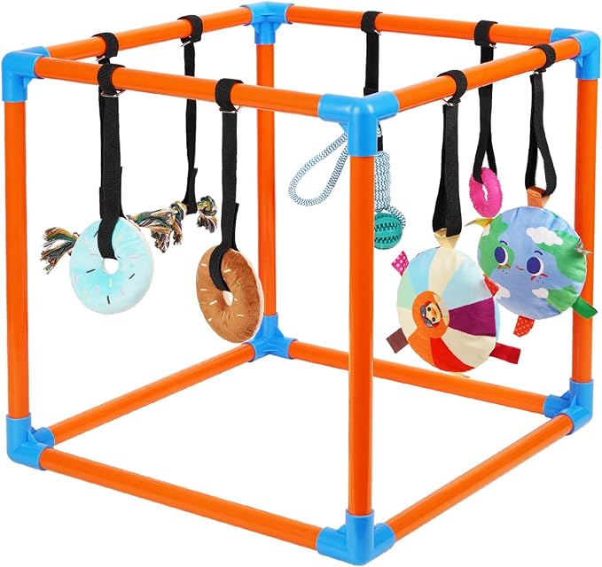 Liitrton Puppy Play Gym for Small Dogs with 8 Hanging Toys, Orange | 19.5"x19.5"x19.5" PVC Frame, Indoor Puppy Jungle Gym with Interactive Puppies Toys