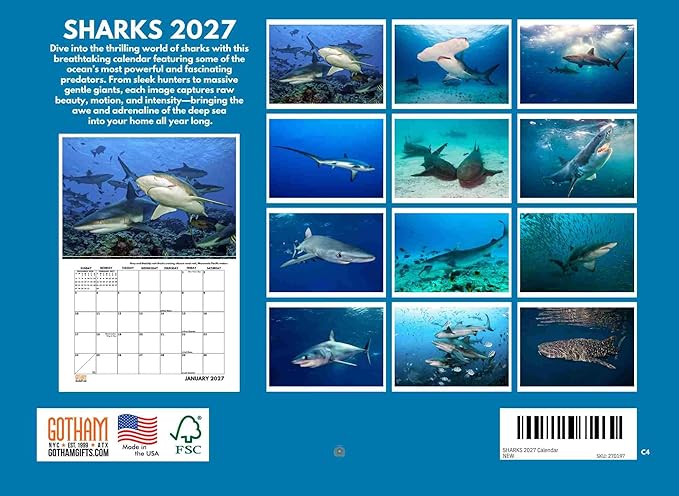 Shark Calendar 2027 Monthly Wall Calender 12 Month