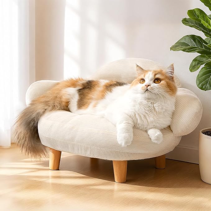 White Cat Sofa Bed, Furniture Style Pet Couch with Pine Wood Legs | Removable Cotton Velvet Cover, Cozy Cushion Design, Stylish Home Décor Pet Furniture for Cats and Small Dogs