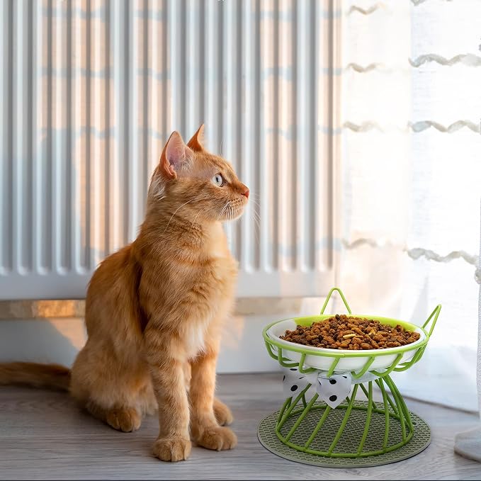 Set of 4 Elevated Ceramic Cat Bowls, Assorted Colors | 4-Piece Bowl Set Detachable Bowls Easy to Clean Non-Slip Pads Premium Ceramic