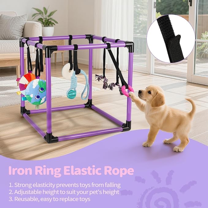 Liitrton Puppy Play Gym for Small Dogs with 8 Hanging Toys, Purple | 19.5"x19.5"x19.5" PVC Frame, Indoor Puppy Jungle Gym with Interactive Puppies Toys
