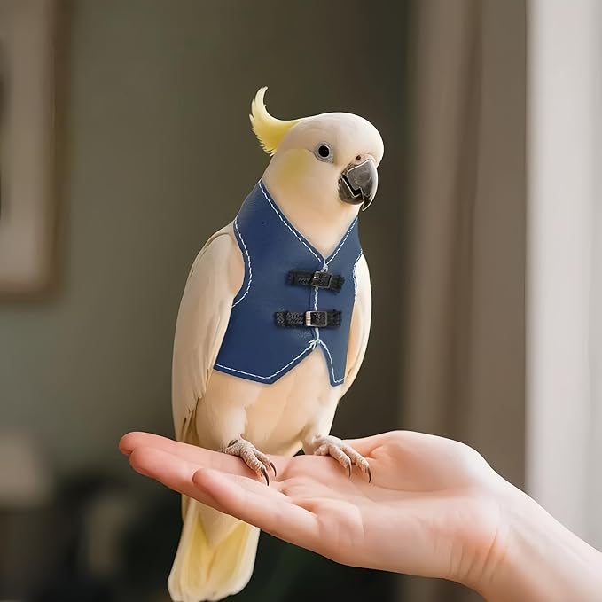 Bird Clothes, Parrot Leather Jacket, Cute Bird Costume Cosplay Photo Prop, Parrot Apparel for Eclectus, Budgerigar, African Greys Parakeet, Conure, Cockatiel, Love Birds-Cowboy Style,Blue,L