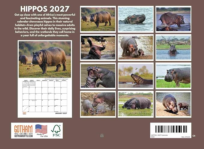 Hippo Calendar 2027 Hippopotamus Hippos Monthly Wall Calender 12 Month