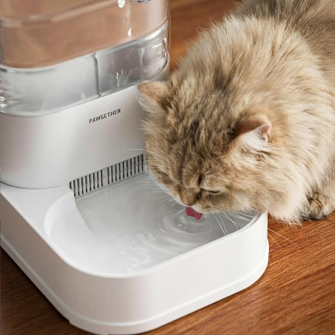 PAWGETHER® 6Pack Filters for PAWGETHER Gravity Pet Water Dispenser Cat Waterer Filter Keep Water Fresh and Clean