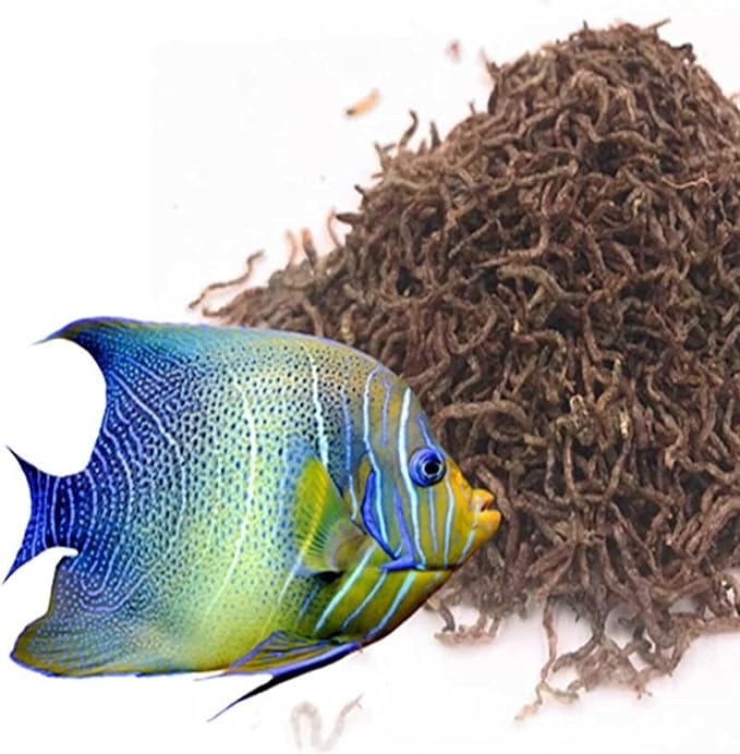 Aquatic Foods Inc. Bloodworms, Freeze Dried Grade A Fresh Floating Bloodworms for All Tropical Fish, Bettas, Discus, Cichlids, Community Fish, Turtles, Carnivore Tropical Fish - 6-lbs