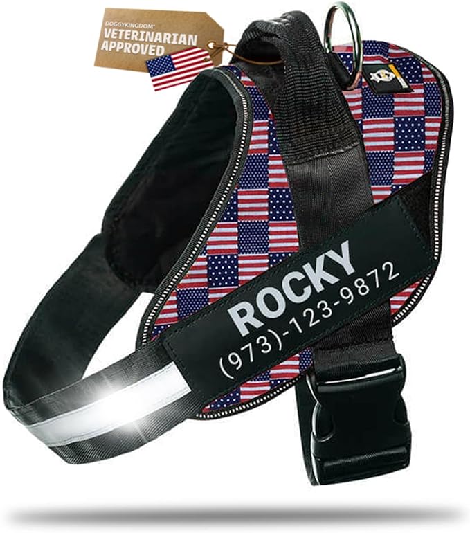 Personalized Dog Harness with Custom Name Patches, Adjustable Reflective No Choke Dog Vest with Handle for Small Sized Dog, US Flag, S