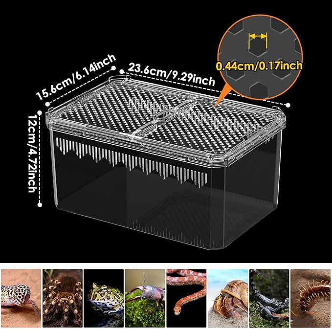 【No Assembly】 Breathable and Secure Reptile Tank with high Transparency - Ideal Container House for Hermit Crab, Tarantula Enclosure, Turtle Tank or Jumping Spider Habitat (M)