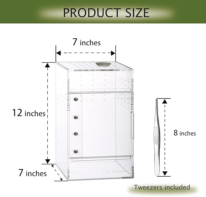 Acrylic Terrarium for Reptiles & Spiders – Small/Medium/Large Leak-Proof Enclosure (Horizontal/Vertical) | Ideal for Tarantulas, Jumping Spiders, Frogs & Geckos(Large, Vertical)
