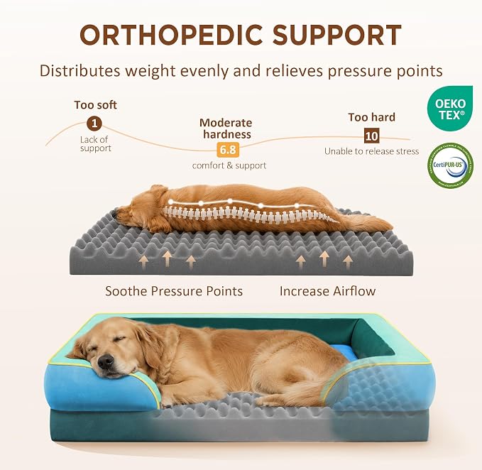 Comfort Expression Orthopedic Dog Bed for Extra Large Dogs with Bolster | Waterproof Dog Couch Bed with Washable Cover & Non-Slip Bottom, Supportive Egg Crate Foam XL Pet Bed, 42x30 Inch