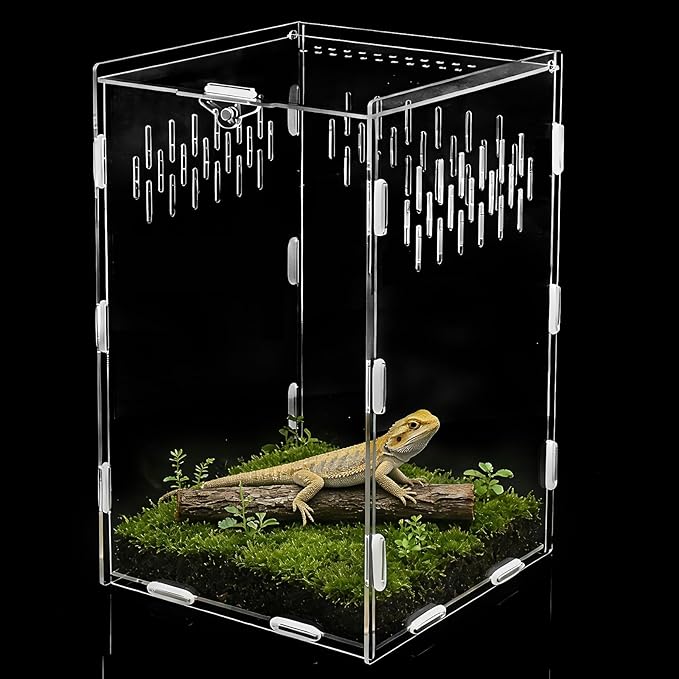 Jumping Spider Enclosure, 10x6x6 Inch Acrylic Reptile Enclosure with Front Door, Large Insect Terrarium Habitat for Jumping Spiders, Praying Mantis, Arboreal Tarantulas