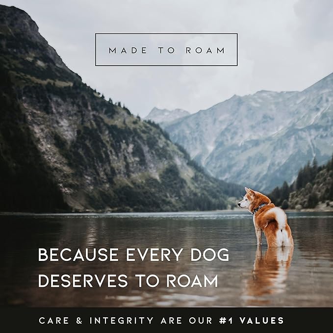 MADE TO ROAM Premium Explorer Harness - Y-Shaped Dog Harness with Adjustable Durable Nylon, Soft Padding, Metal Buckles and Leather Handle for Small, Medium, Large Dogs (Maine Marina, Size 2)