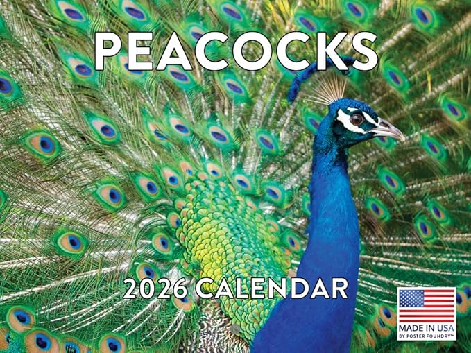 Peacock Calendar 2026 Wall Monthly Peacocks Gifts For Peacock Lovers Women Men | American Made In The USA