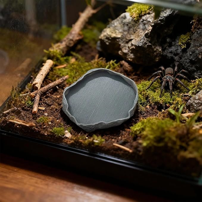 1 PCS Spider Micro Water Bowl Jumping Spider Feeding Dish Tarantula Water Dish for Millipede Gecko Lizard Tarantula Tiny Reptiles (2.17" D, 0.31" H) Gray