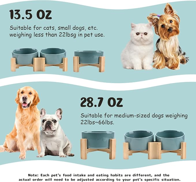 SPUNKYJUNKY 15° Slanted Ceramic Dog and Cat Bowl with Wooden Stand, Tilted Bulldog Food and Water Bowl No Slip Non-Spill for Cats Medium Dogs Big Face Pets 28.7 OZ (3.6 Cups, Light Green)