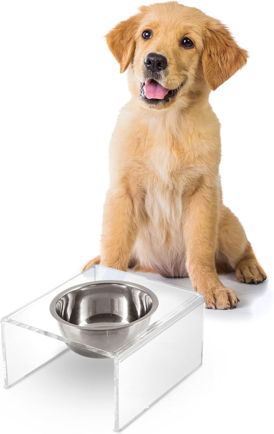 DBL2002A Keaton 5" Small/Medium Modern Acrylic Rectangular Elevated Pet Feeder with 20oz 1-Stainless Steel Bowl, Clear/Chrome