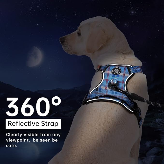 IVY&LANE No Pull Dog Harness with Leash Set, Reflective No Choke Pet Vest,Adjustable Oxford Dog Vest Harness with Easy Control Handle for Small Dogs (Checkered Blue,S)