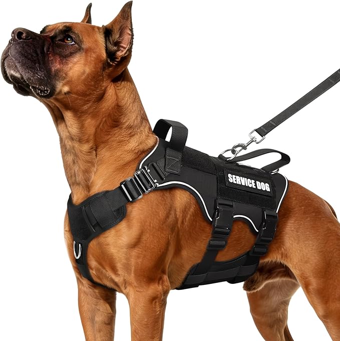 Tactical Service Dog Vest and Leash Set,Heavy Duty Harness with Metal Buckles for Medium Sized Dogs,Adjustable No Pull Pet Vest with Patches for Training Working,Black M