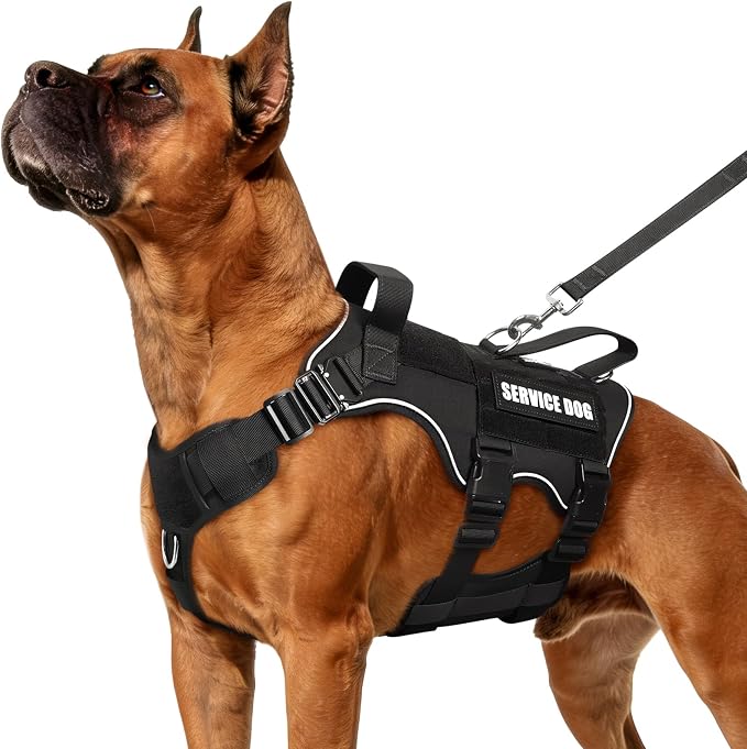 Tactical Service Dog Vest and Leash Set,Heavy Duty Harness with Metal Buckles for Large Dogs,Adjustable No Pull Pet Vest with 10 Patches,for Training Working Hiking,Black L