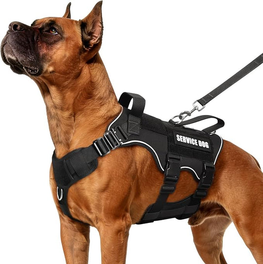 Tactical Service Dog Vest and Leash Set,Heavy Duty Harness with Metal Buckles for Large Dogs,Adjustable No Pull Pet Vest with 10 Patches,for Training Working Hiking,Black L
