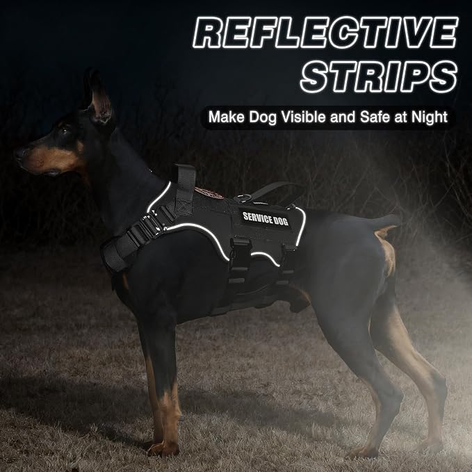 Tactical Service Dog Vest and Leash Set,Heavy Duty Harness with Metal Buckles for Large Dogs,Adjustable No Pull Pet Vest with 10 Patches,for Training Working Hiking,Black XL
