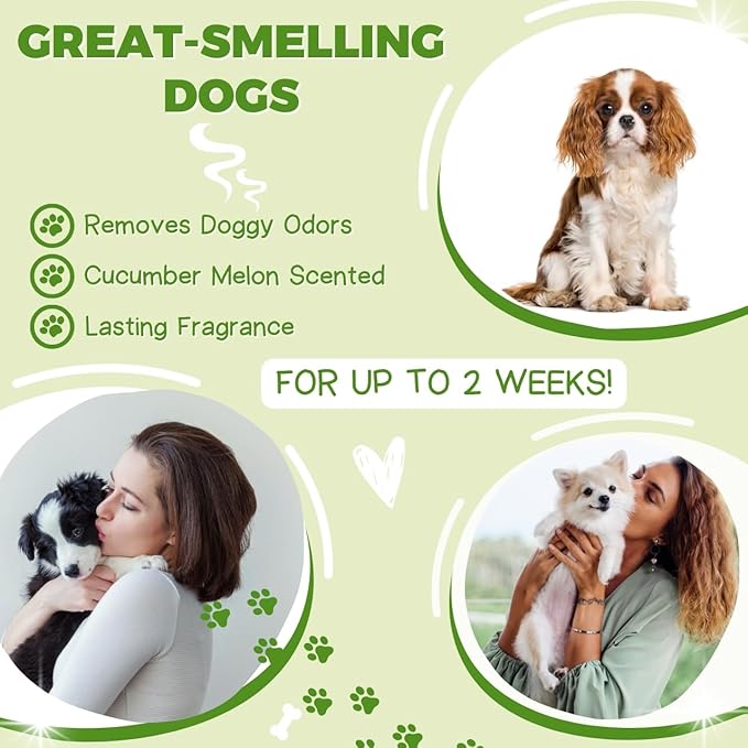 Alpha Dog Series All Stages Natural Dog Shampoo and Conditioner Set with Aloe Vera pH-balanced Dog Grooming Shampoo and Conditioner for Dogs, Tear-Free Moisturizing Dog Shampoo Sensitive Skin 1 Gallon