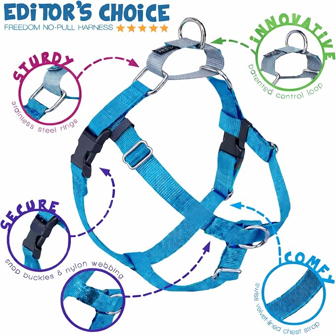 2 Hounds Design Freedom No Pull Dog Harness, 5/8 inch SM, Turquoise | Discourages Pulling, Comfortable Control Adjustable Dog Harness for Small Sized Dogs, Made in USA (Leash Not Included)