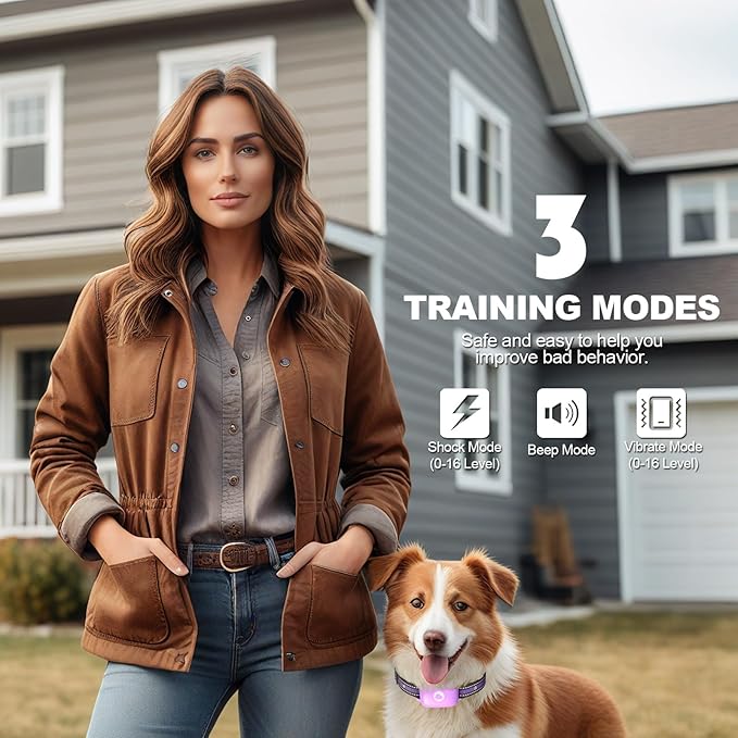 Dog Shock Collar - 2600FT Dog Training Collar with Remote, 3 Modes(Beep/Vibration/Shock), Security Lock, IP68 Waterproof Rechargeable E-Collar for 10-120lbs All Breeds (Purple)