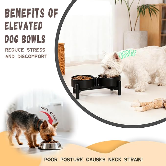Raised Ceramic Dog Bowl Set with Stand, 1.6 Cups Elevated Dog Food Stand | 5.1'' Double Dog Food and Water Bowl Set, Non-Slip Dog Feeding Dishes for Small Breeds and Cats, 10.8 OZ, Black