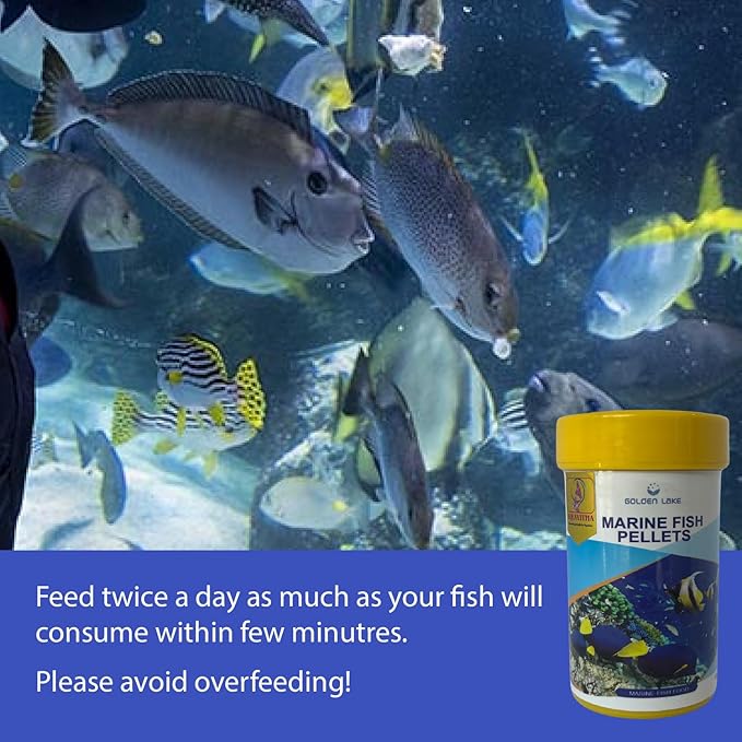 Marine Fish Food (2.56 Oz), Marine Fish Pellets for Small Fish, Balanced Diet, Support Health, Saltwater Fish Food, Small Pellets Marine Fish Food