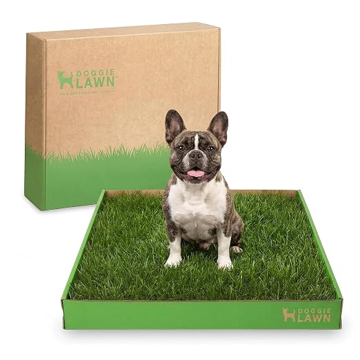 DoggieLawn Real Grass Dog Pee Pads w/ Tray - Medium Dog Potty Pad 24x20 | No-cleaning, odor-reducing puppy potty training pad for housebreaking, indoor or outdoor use, real grass, replace when needed