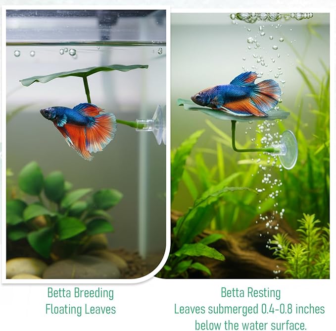 3 Pcs Betta Fish Leaf Hammock, Betta Fish Practical Resting Spot Bettas Suction Cup Tank Decor Green Hammock Plant Leaf Pad Fishes Breeding Resting Bed for Fishes Aquarium Decoration Ornaments