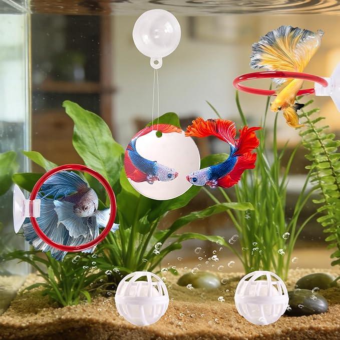 Betta Fish Toys, 2 PCS Fish Exercise Ring and Nitrifying Balls Set, Betta Mirror Toy Set, Feeding Ring with Suction Cup, Fishing Tank Accessories for Gifts (Red)
