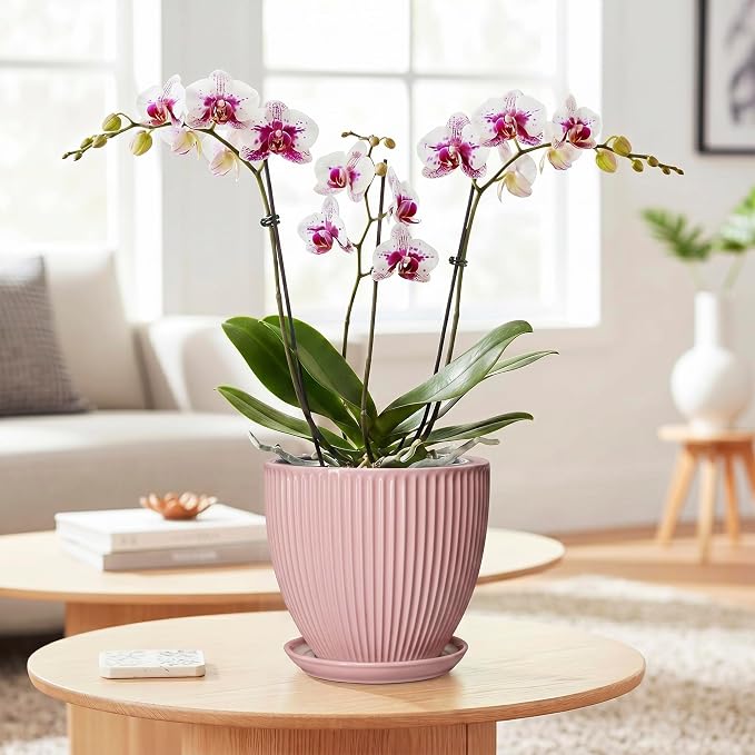 6 Inch Flower Pots, Ceramic Pots for Plants Indoor, Modern Plant Pot with Drainage Hole and Saucer, Decorative Small Round Succulent Planter, Living Room Office Decor, Women Men Gifts, Pink