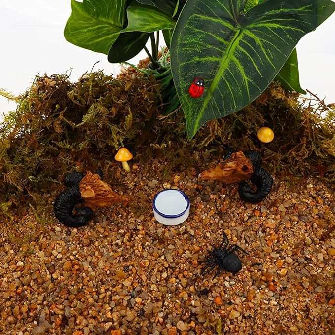 Tarantula Micro Water Bowl Spider Anti-Turnover Bowl for Small Hamster Tarantula Spider Scorpion Cricket Snail Manti Millipede Tiny Bugs Reptile Terrarium Cage Accessories (L (1.57??dia),12 Pcs)