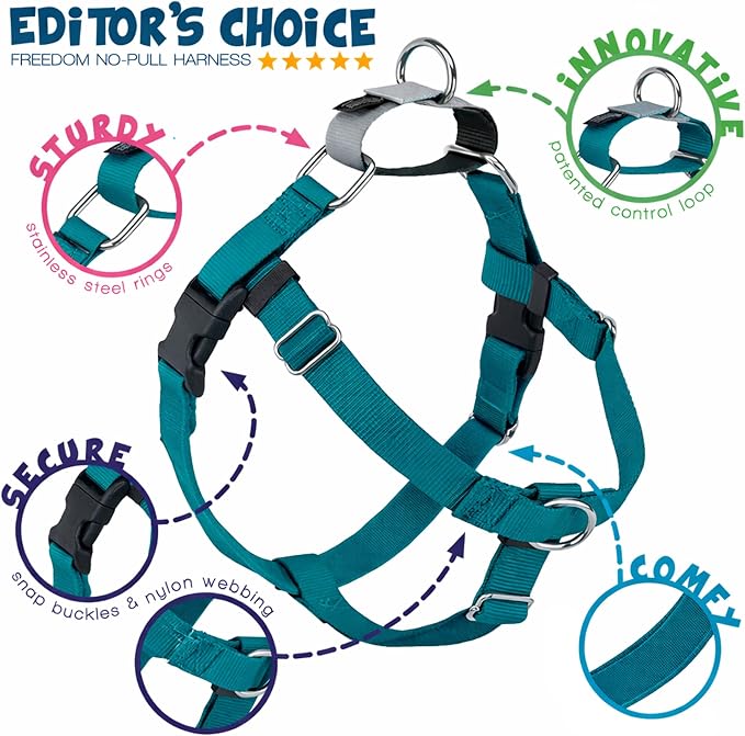 2 Hounds Design Freedom No Pull Dog Harness and Leash, 5/8" SM, Teal | Promotes Easy Walking & Comfortable Control, Secure Fit, Adjustable Harness and Leash Set for Small Sized Dogs, Made in USA