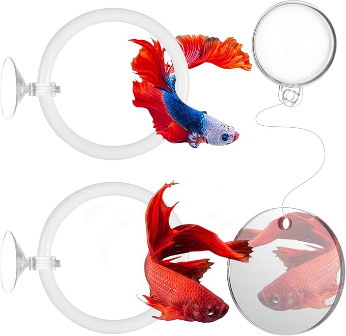 3Pcs Betta Fish Exercise Ring and Mirror Set 1 Mirror with Floating Ball 2 Exercise Training Rings Toy Betta Ring Enrichment Toys Floating Mirrors Balls Resting Spot Fishing Tank Accessories for Fish