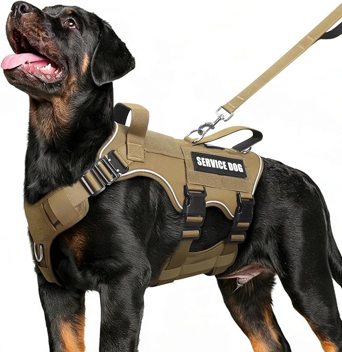 Service Dog Vest and Leash Set,Heavy Duty Tactical Dog Harness with Metal Buckles for Large Dogs,Adjustable No-Pull Dog Harness with 10 Patches,for Training Working,Brown XL