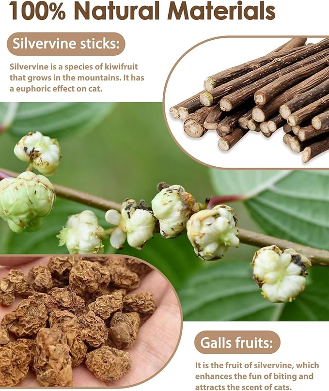 Tocirelo Silvervine Sticks for Cats & Cat Chew Rope - 8Pcs Natural Cat Chew Toy Teeth Cleaning for Bored Indoor Adult Cats, Matatabi Dental Care Kitten Treat Teething Toys, Silver Vine Cat Chew Stick